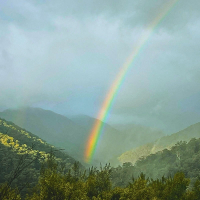 Fill Your Soul (Single)