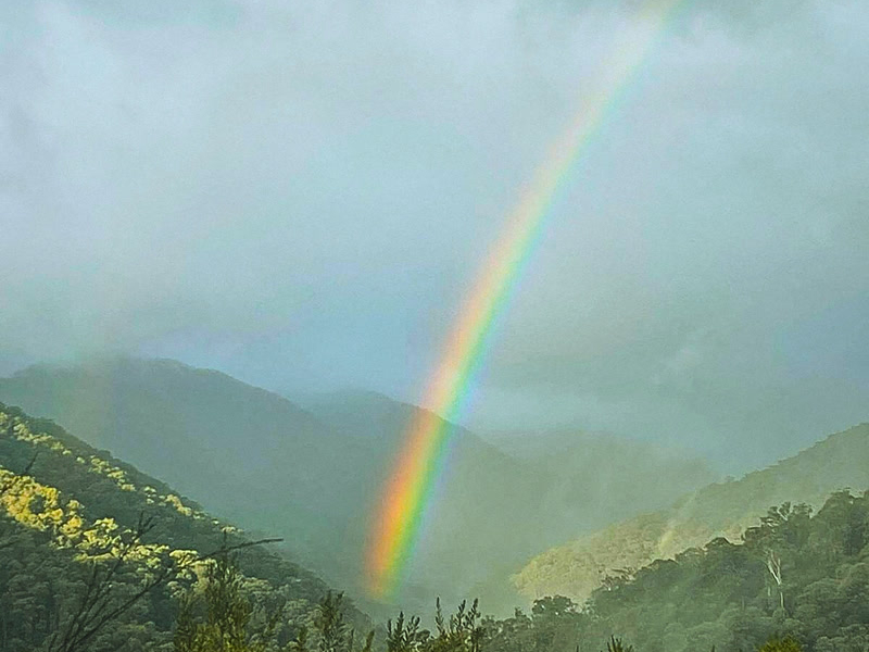 Fill Your Soul (Single)