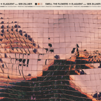 Smell The Flowers (Single)