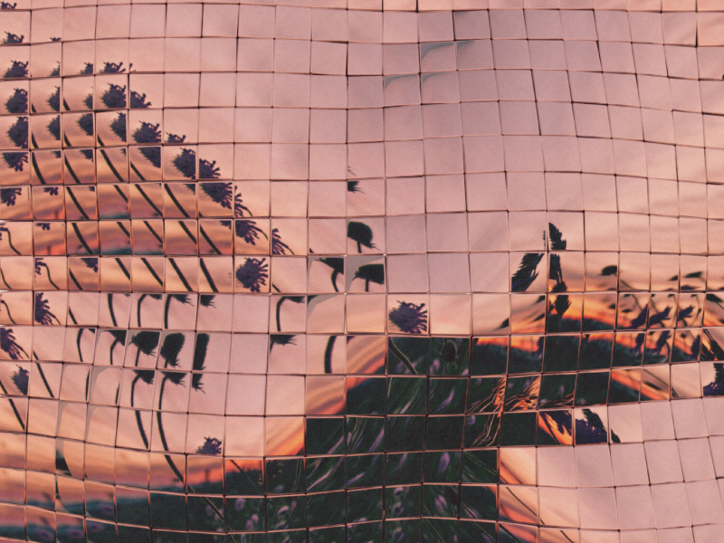 Smell The Flowers (Single)