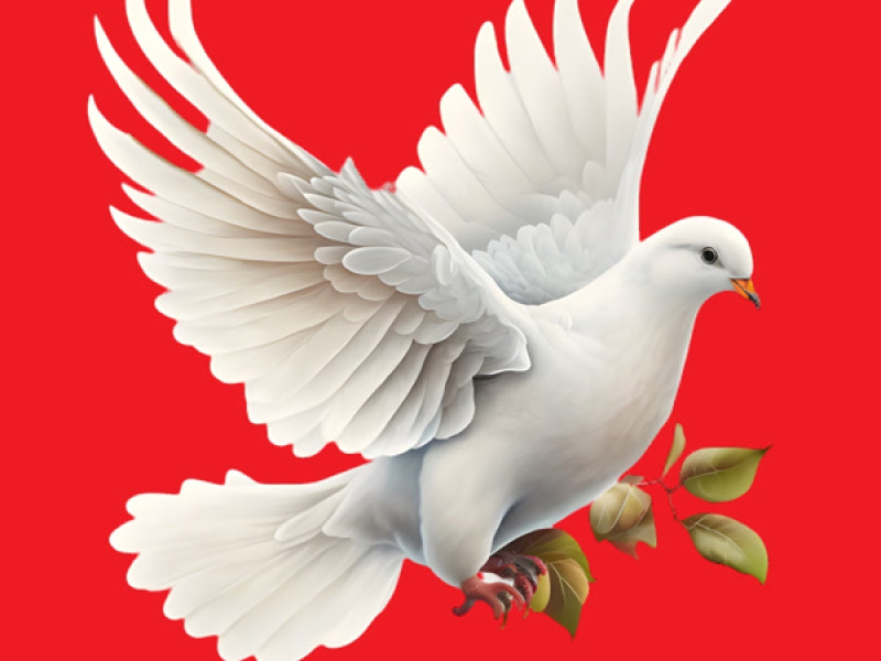 Мы Хотим Мира (Single)