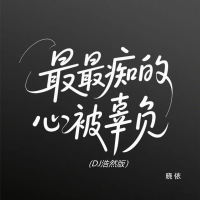 最最痴的心被辜负 (Dj浩然版) (Single)