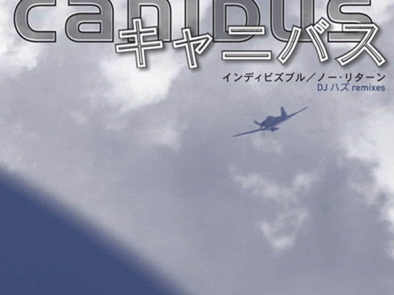 Indibisible (DJ Hazu Remix) [Japanese Import] [12