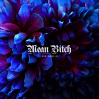 Mean Bitch (Single)