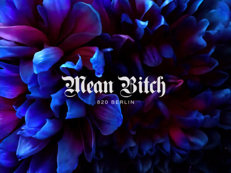 Mean Bitch (Single)