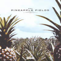 Pineapple Fields (Single)