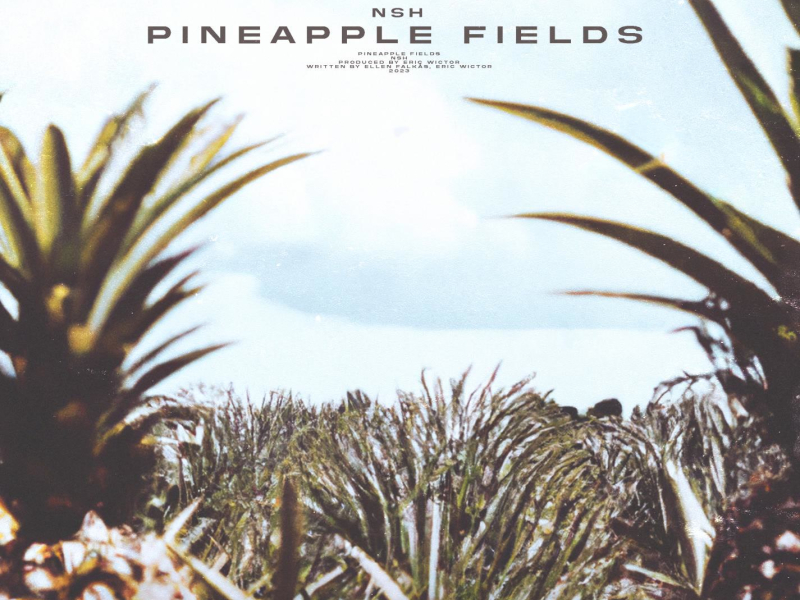 Pineapple Fields (Single)