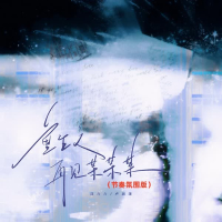 重生之再见某某某 (节奏氛围版) (Single)