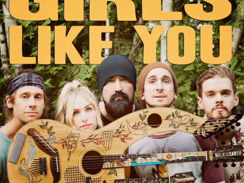 Girls Like You (Single)