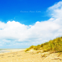 Take the wind (Single)