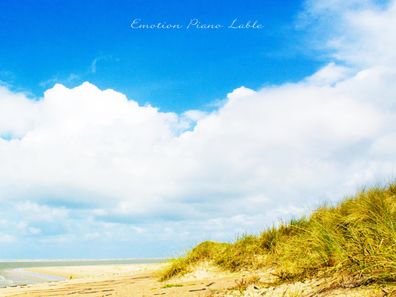 Take the wind (Single)