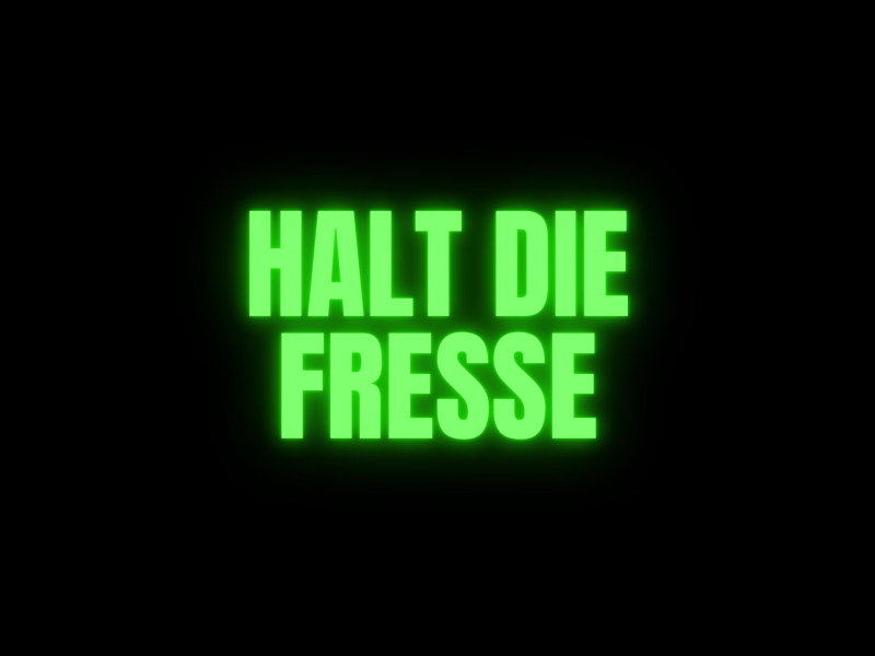 HALT DIE FRESSE (Single)