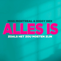 Alles Is Zoals Het Zou Moeten Zijn (Single)
