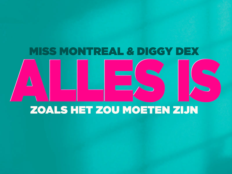 Alles Is Zoals Het Zou Moeten Zijn (Single)