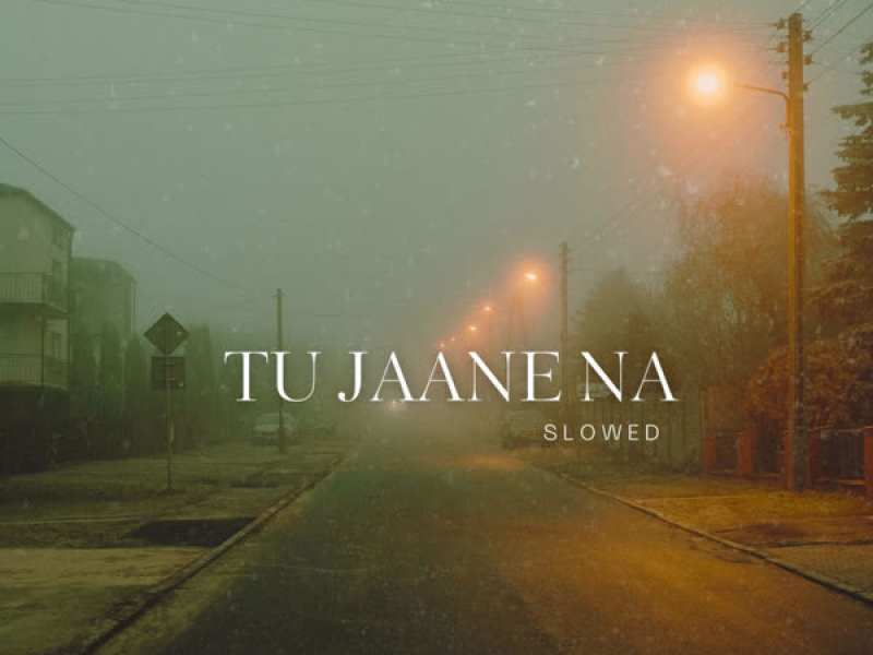 TU JAANE NA (Slowed) (Single)