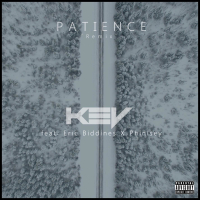 Patience (feat. Eric Biddines & Phinisey) [Remix] (Single)