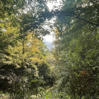 Wait For Me (Single)