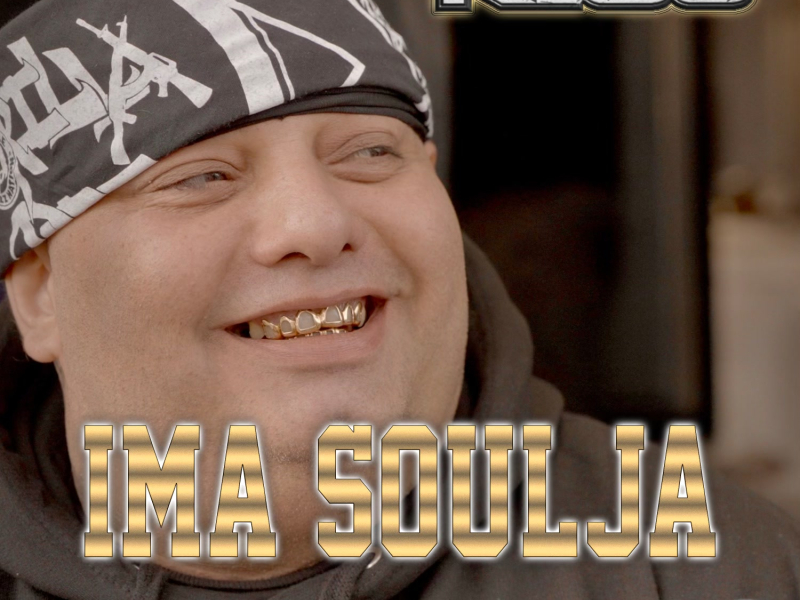 I'm a Soulja (Single)