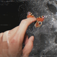 Hey sexy леди (Single)