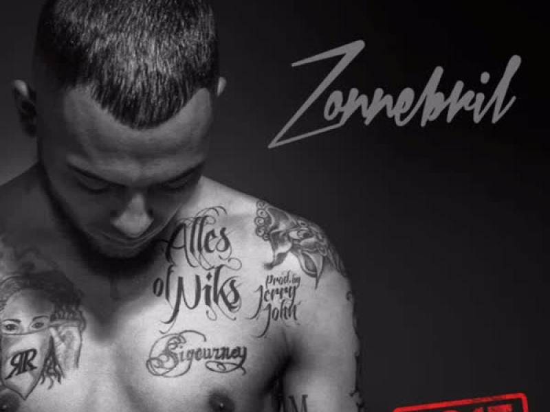 Zonnebril (Single)