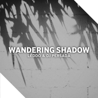 Wandering Shadow (Single)