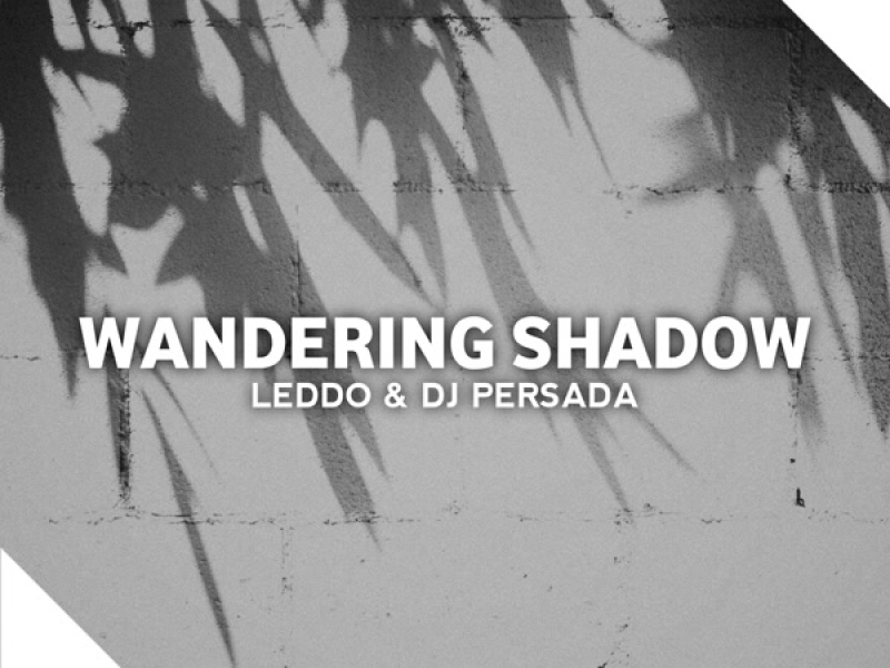 Wandering Shadow (Single)
