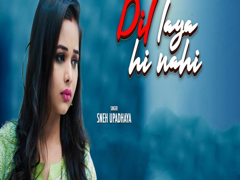 Dil Laya Hi Nahi (Single)