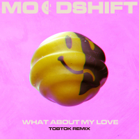What About My Love (Tobtok Remix) (Single)