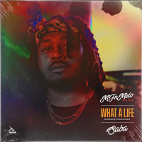 What a Life (Single)