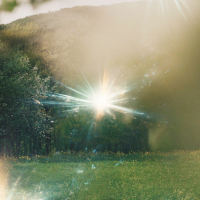 Never Bow (feat. Roosevelt Stewart) (Single)