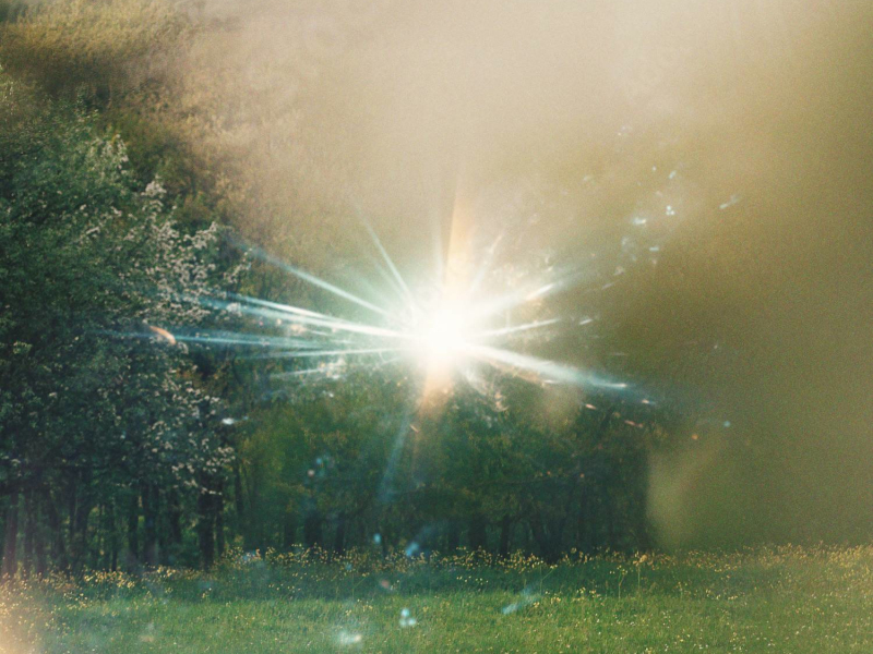 Never Bow (feat. Roosevelt Stewart) (Single)