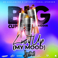 Live It Up (My Mood) (Single)