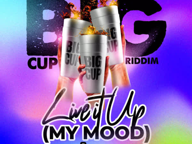 Live It Up (My Mood) (Single)