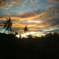 Though the rain (Single)