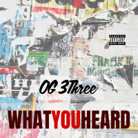 What You Heard (Single)