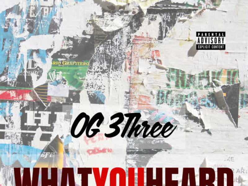 What You Heard (Single)