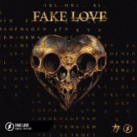 Fake Love (Single)