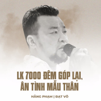 LK 7000 Đêm Góp Lại, Ân Tình Mẫu Thân (Single)