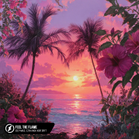 Feel The Flame (Single)
