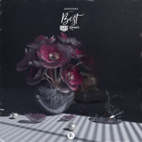 Best (Bare Noize Remix) (Single)