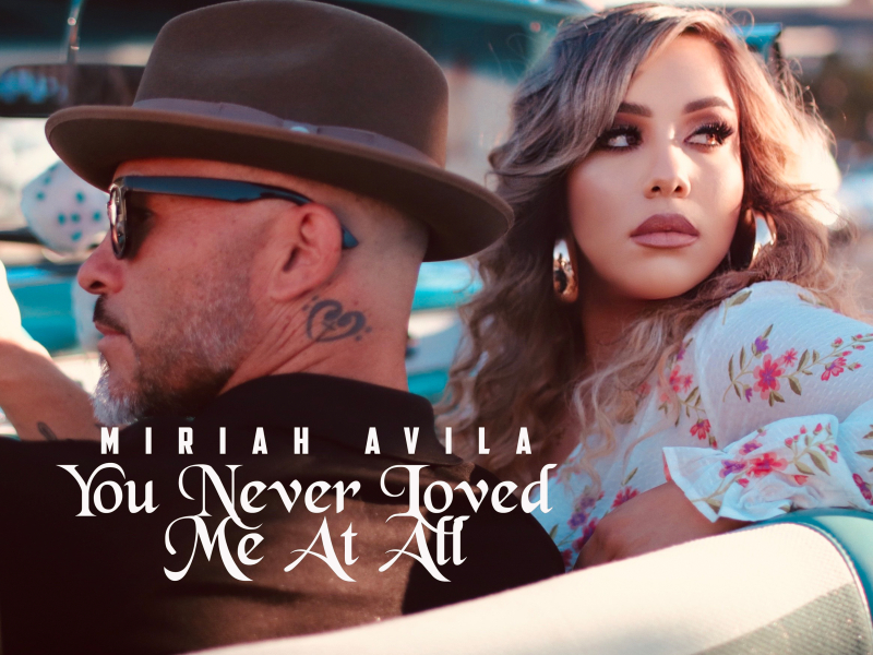 You Never Loved Me at All (Single)