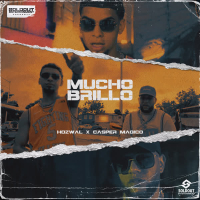 Mucho Brillo (Single)