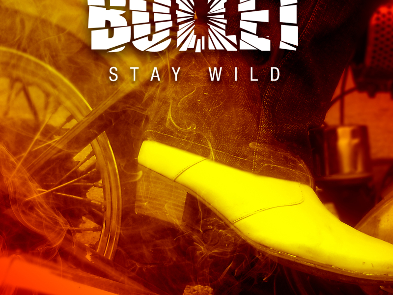 Stay Wild (Single)