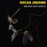 Breathe Deep Remixes (Single)