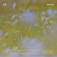 late may (Single)