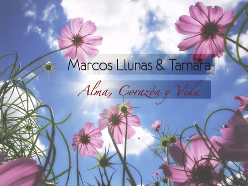 Alma, Corazón y Vida (Single)