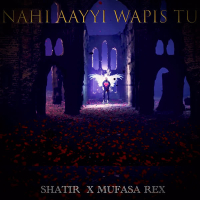 Nahi Aayyi wapis tu (Single)