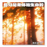 你只是来体验生命的 (Single)