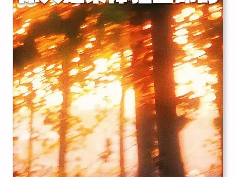 你只是来体验生命的 (Single)