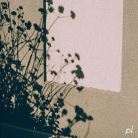 neither of us will be missed (Single)